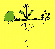 7th Path Self-Hypnosis® can remove the problem. The problem is like a weed in your garden.